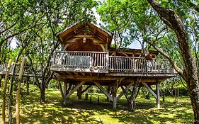 Cabane D'amour Beziers